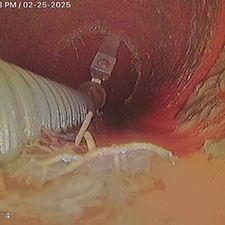 Expert-Sewer-Camera-Inspection-Rodding-in-Downers-Grove-IL 0